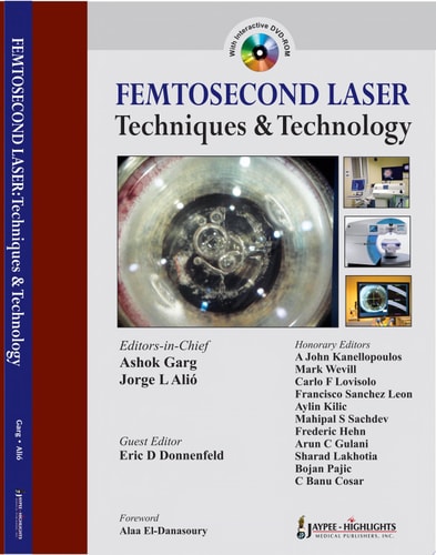 Femtosecond Laser Techniques and Technology