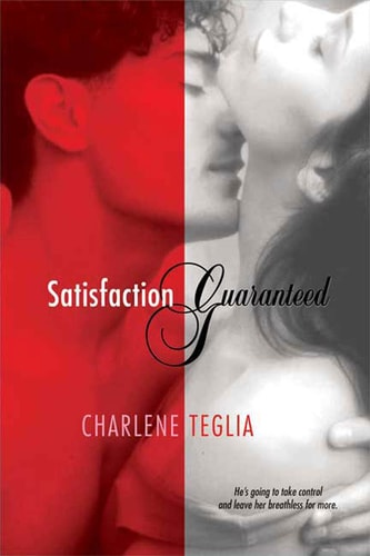 Satisfaction Guaranteed A Novel