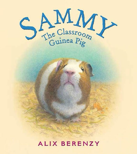 Sammy The Classroom Guinea Pig