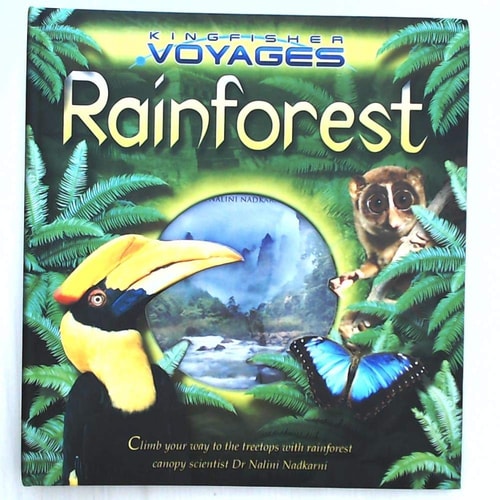 Rainforest