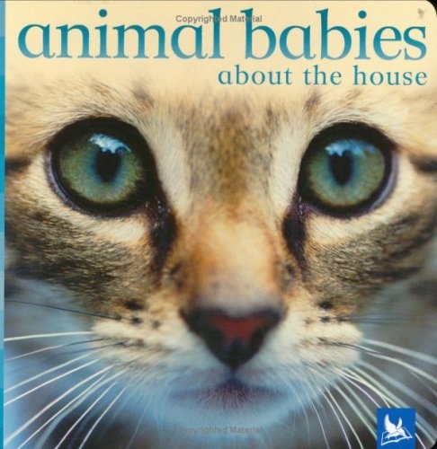 Animal Babies about the House