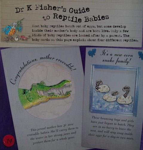 Ask Dr K Fisher about Reptiles