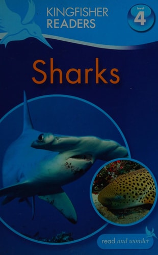 Sharks-zoom-1