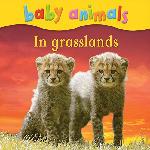 In Grasslands
