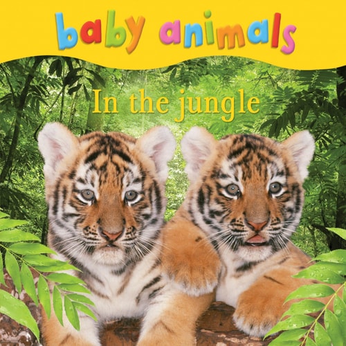 In the Jungle