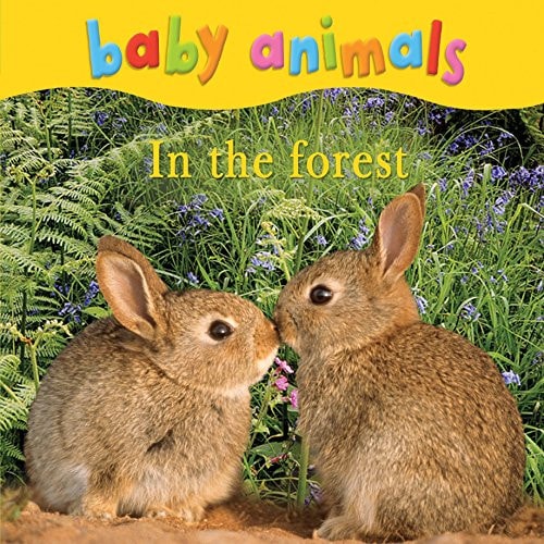 Baby Animals in the Forest.