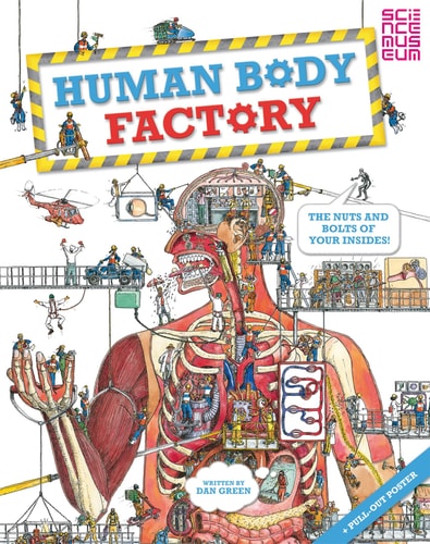 Human Body Factory