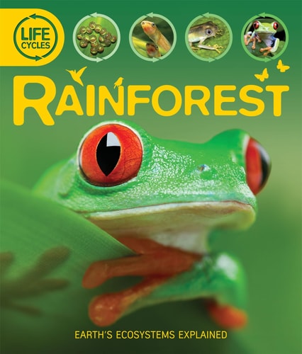 Rainforest