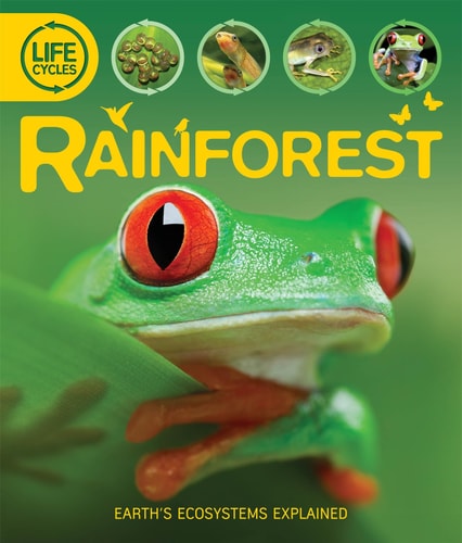 Rainforest
