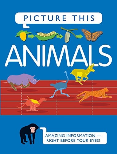 Picture This Animals