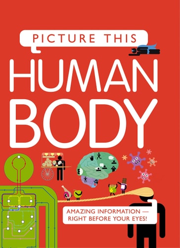 Human Body