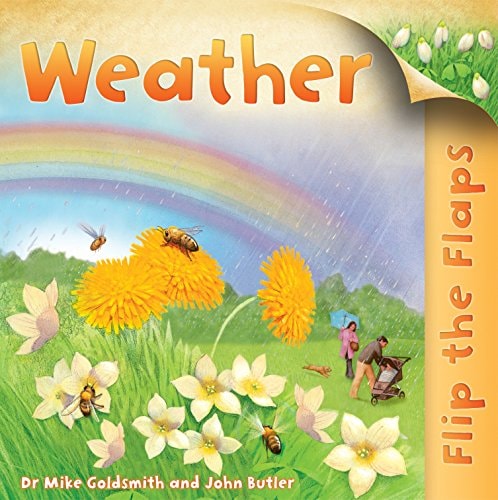 Flip the Flaps Weather