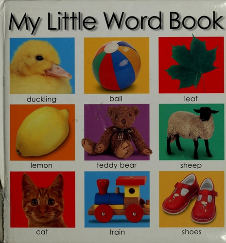 My Little Word Book