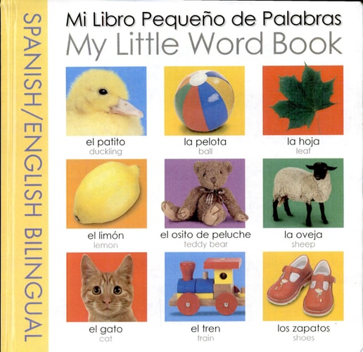Mi libro pequeño de palabras
