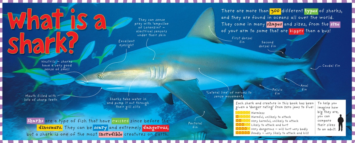 Sharks