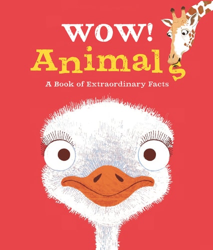 Wow! Animals-zoom-