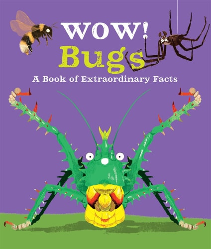 Wow! Bugs-1