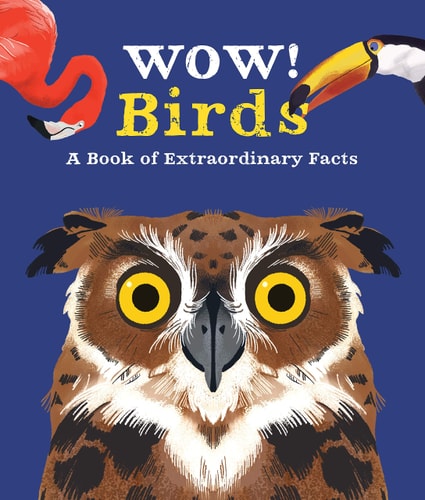 Wow! Look What Birds Can Do-zoom-