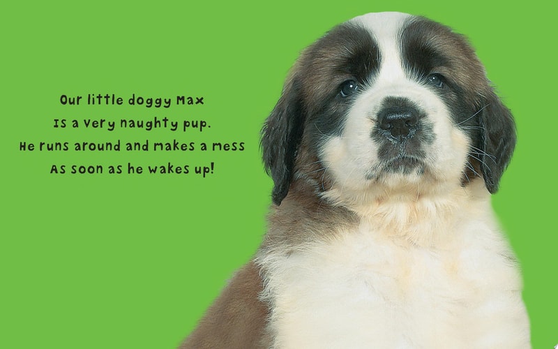 Bright Baby Touch & Feel Perfect Pets