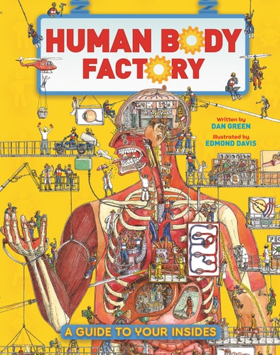 The Human Body Factory A Guide to Your Insides