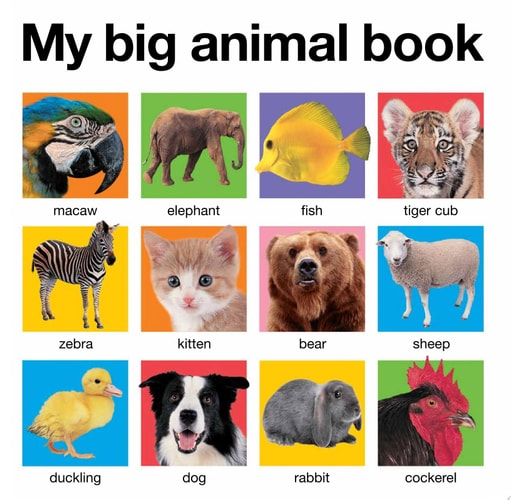 My Big Animal Book