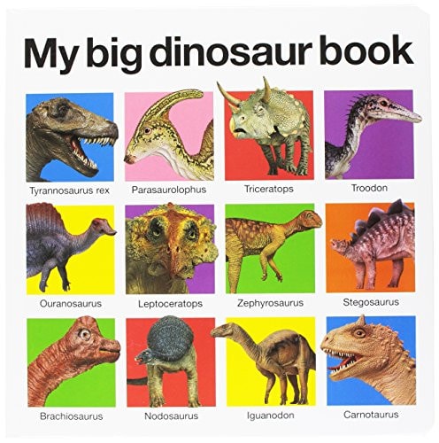 My Big Dinosaur Book-1