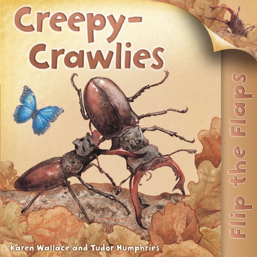 Flip The Flaps: Creepy-Crawlies