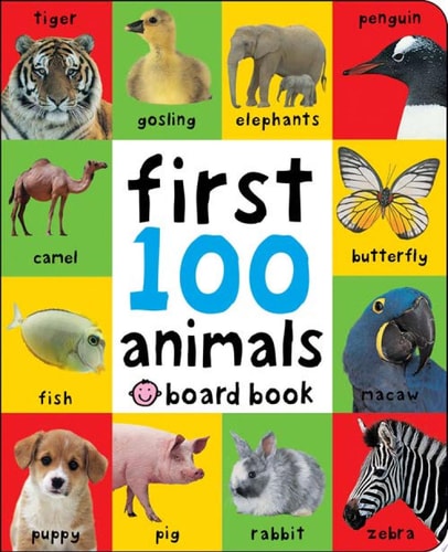 First 100 Board Book Box Set (3 Books) First 100 Words, Numbers Colors Shapes, and First 100 Animals