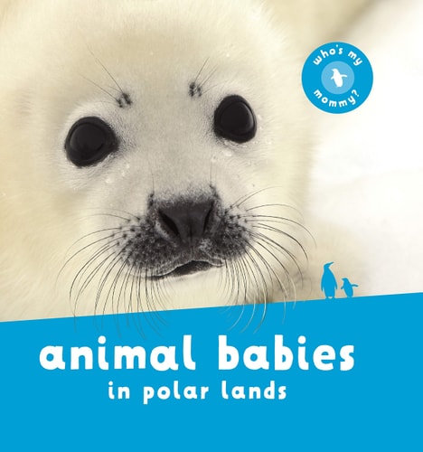 Animal Babies in Polar Lands-zoom-1