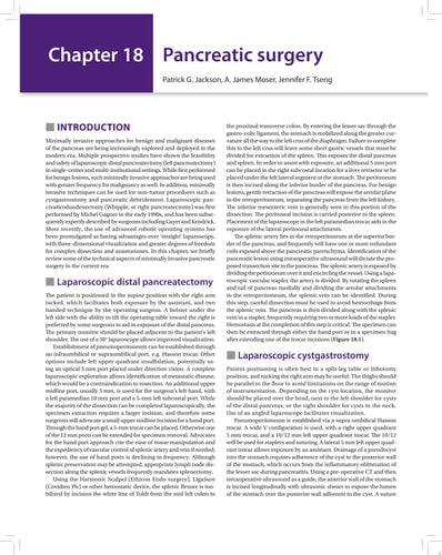 Minimally Invasive Surgery Laparoscopy, Therapeutic Endoscopy and NOTES-zoom-1