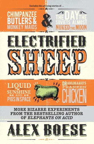 Electrified Sheep-1