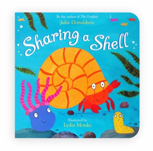 Sharing a Shell-zoom-