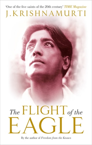 The Flight of the Eagle-zoom-