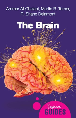 The Brain A Beginner's Guide