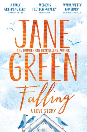 Falling A Love Story