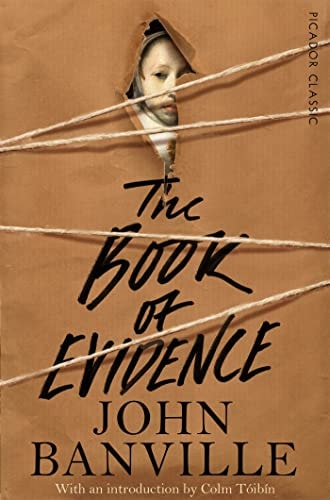 The Book of Evidence-zoom-