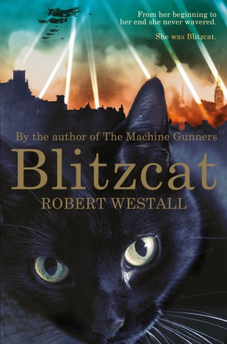 Blitzcat-1