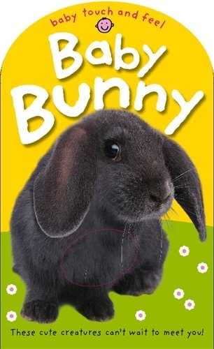 Baby Bunny These Cute Creatures Can't Wait to Meet You!