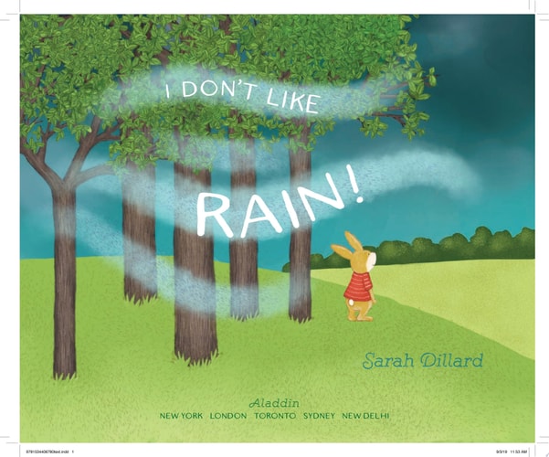 I Don't Like Rain!