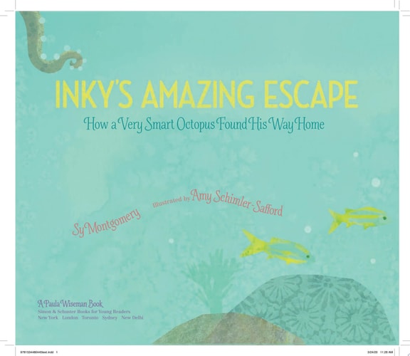 Inky's Amazing Escape How a Very Smart Octopus Found His Way Home