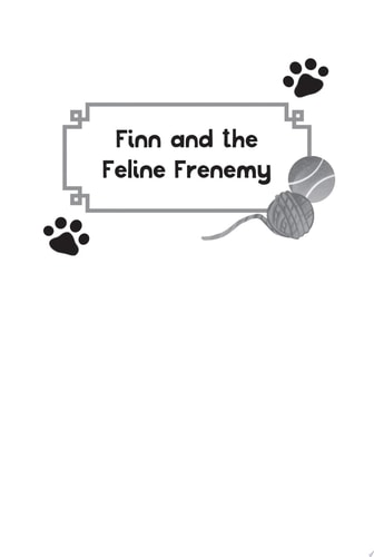 Finn and the Feline Frenemy