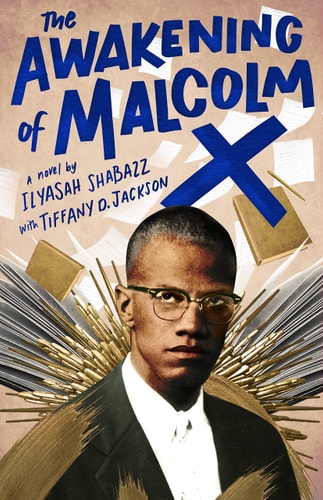 The Awakening of Malcolm X A Novel-zoom-