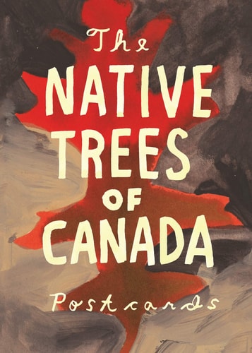 Native Trees of Canada: A Postcard Set Postcard set with 30 postcards-zoom-1