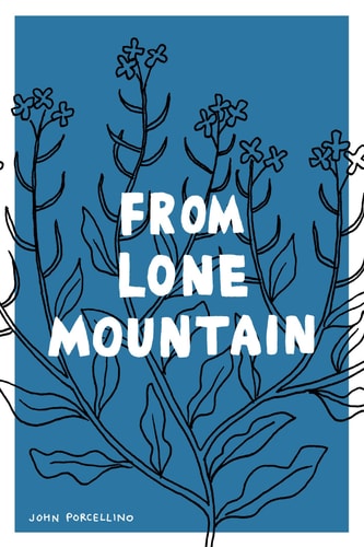 From Lone Mountain-zoom-1