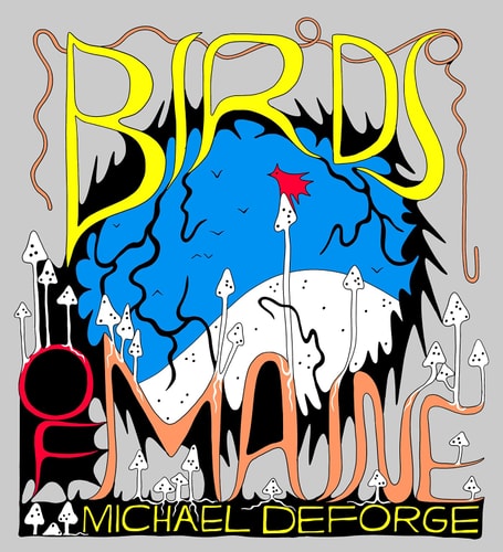 Birds of Maine-1