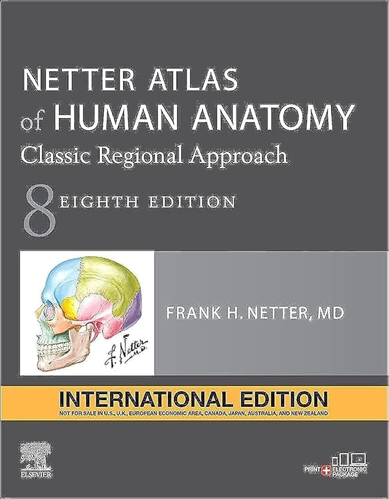 Netter Atlas of Human Anatomy International Edition: A Regional Approach (Netter Basic Science) cover image