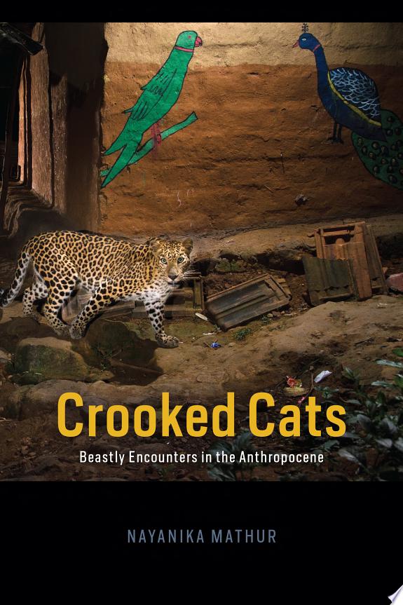 CROOKED CATS